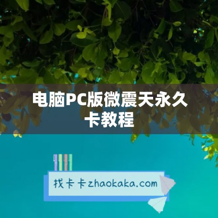 电脑PC版微震天永久卡教程