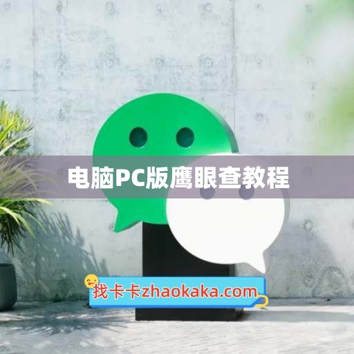 电脑PC版鹰眼查教程