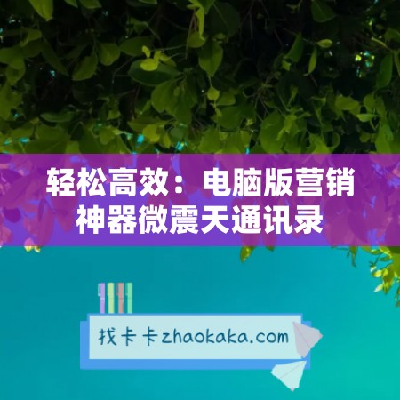 轻松高效：电脑版营销神器微震天通讯录