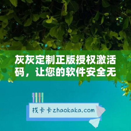 灰灰定制正版授权激活码，让您的软件安全无忧