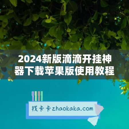 2024新版滴滴开挂神器下载苹果版使用教程