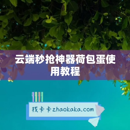 云端秒抢神器荷包蛋使用教程