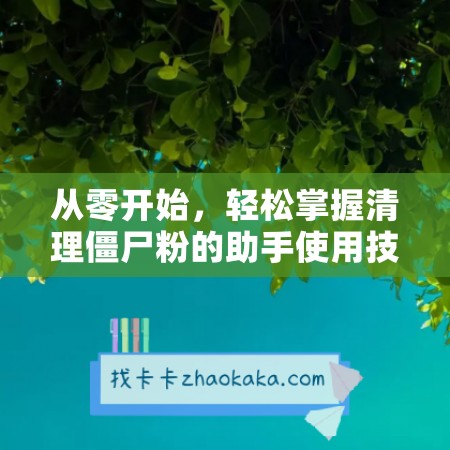 从零开始，轻松掌握清理僵尸粉的助手使用技巧