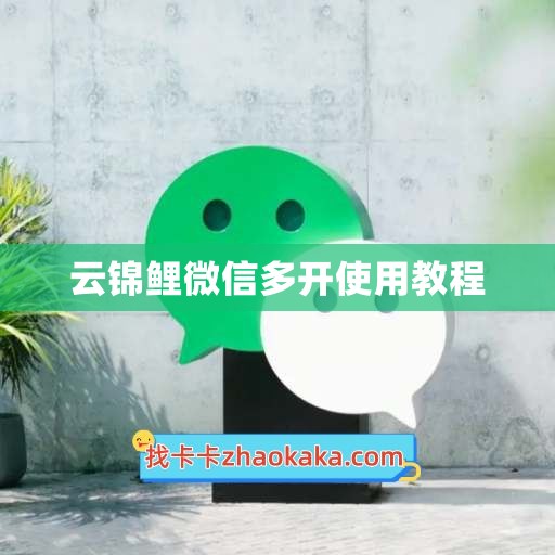 云锦鲤微信多开使用教程