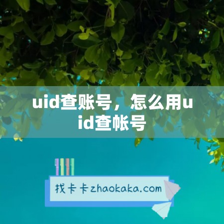 uid查账号，怎么用uid查帐号