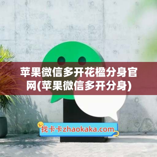 苹果微信多开花楹分身官网(苹果微信多开分身)