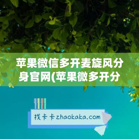 苹果微信多开麦旋风分身官网(苹果微多开分身免费下载)