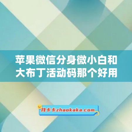 苹果微信分身微小白和大布丁活动码那个好用(苹果微信分身免费)