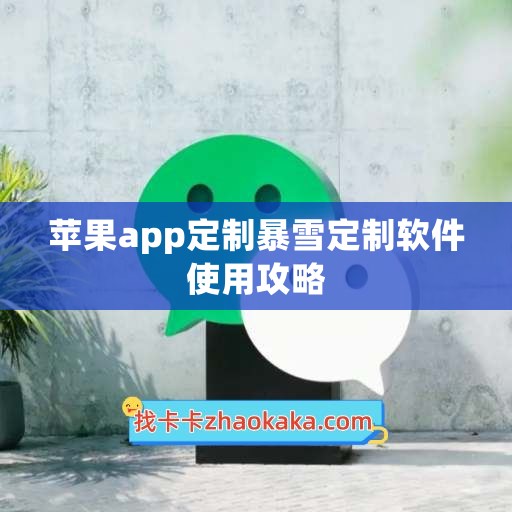 苹果app定制暴雪定制软件使用攻略