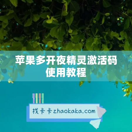 苹果多开夜精灵激活码使用教程