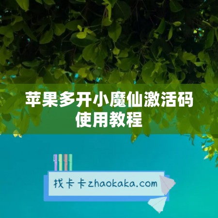 苹果多开小魔仙激活码使用教程