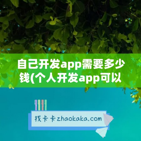 自己开发app需要多少钱(个人开发app可以上架吗)