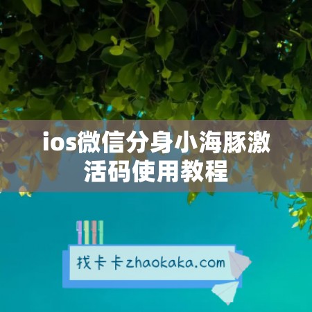 ios微信分身小海豚激活码使用教程