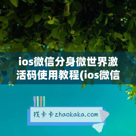 ios微信分身微世界激活码使用教程(ios微信分身)