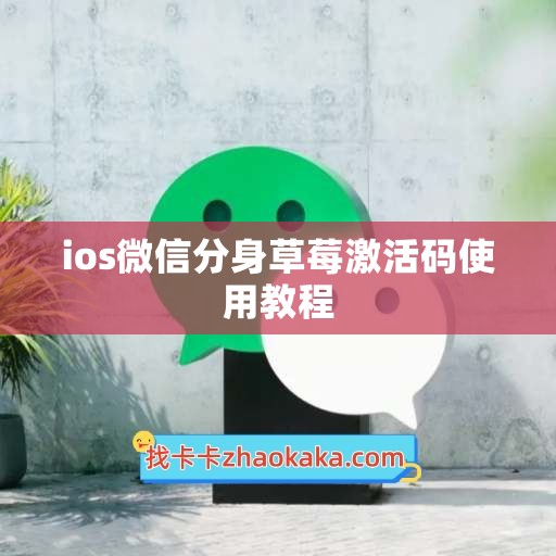 ios微信分身草莓激活码使用教程