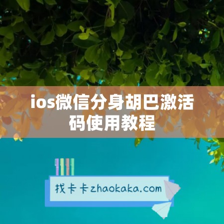 ios微信分身胡巴激活码使用教程