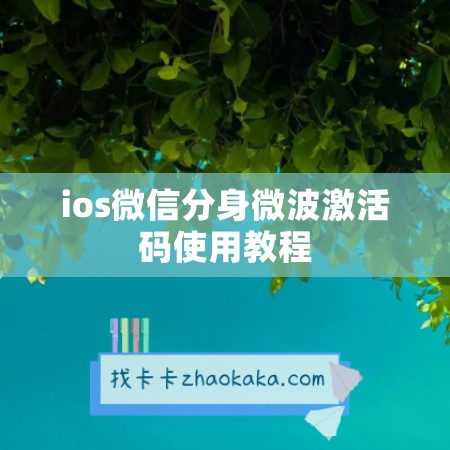 ios微信分身微波激活码使用教程