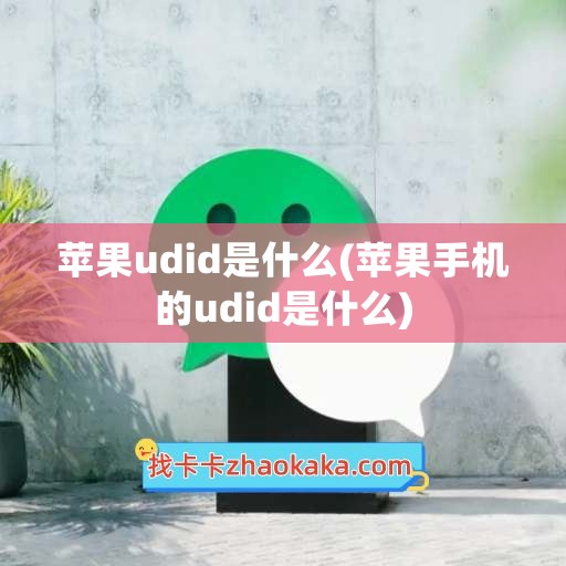 苹果udid是什么(苹果手机的udid是什么)