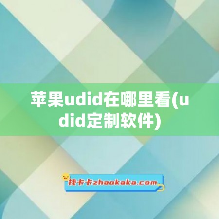 苹果udid在哪里看(udid定制软件)