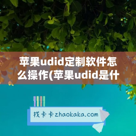 苹果udid定制软件怎么操作(苹果udid是什么)