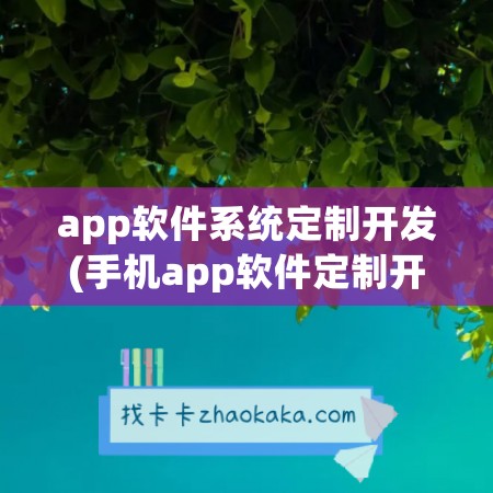 app软件系统定制开发(手机app软件定制开发)