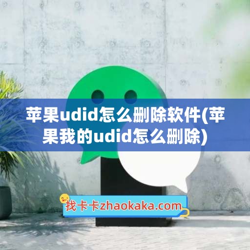 苹果udid怎么删除软件(苹果我的udid怎么删除)