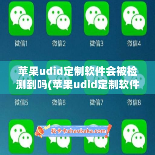 苹果udid定制软件会被检测到吗(苹果udid定制软件有风险吗)