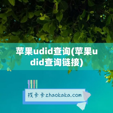 苹果udid查询(苹果udid查询链接)