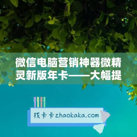 微信电脑营销神器微精灵新版年卡——大幅提升营销效果的利器