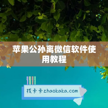 苹果公孙离微信软件使用教程