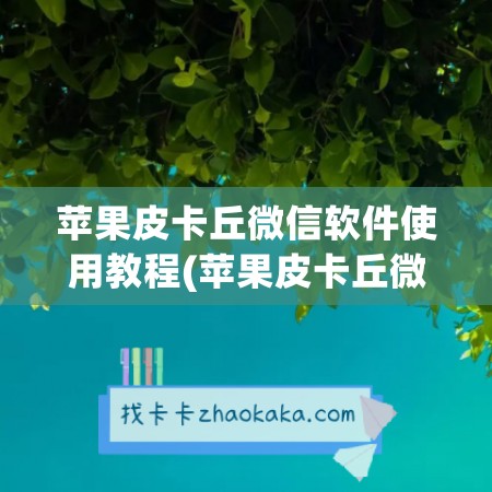 苹果皮卡丘微信软件使用教程(苹果皮卡丘微信多开)