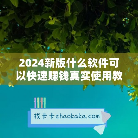 2024新版什么软件可以快速赚钱真实使用教程