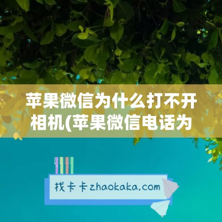 苹果微信为什么打不开相机(苹果微信电话为什么不响)