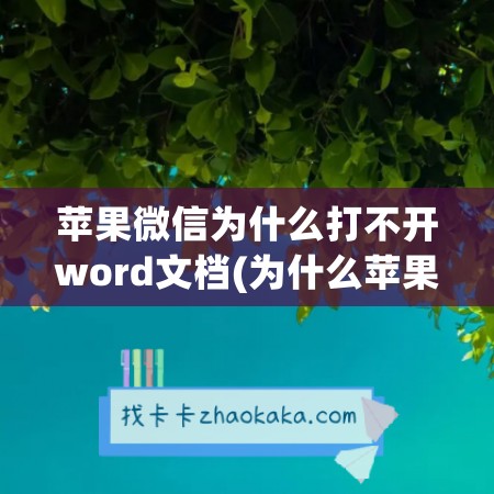 苹果微信为什么打不开word文档(为什么苹果手机打微信)