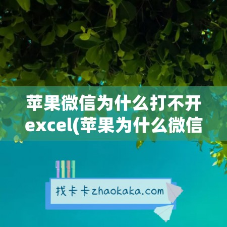 苹果微信为什么打不开excel(苹果为什么微信来电话没有声音)