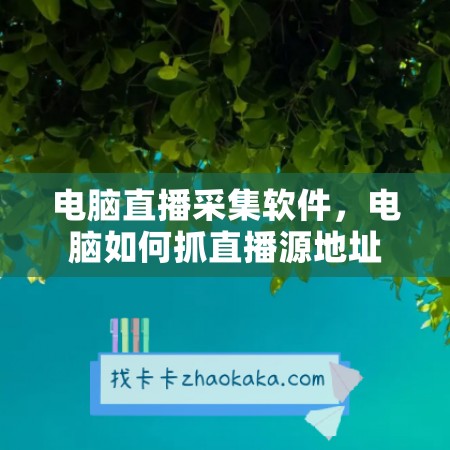 电脑直播采集软件，电脑如何抓直播源地址