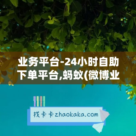 业务平台-24小时自助下单平台,蚂蚁(微博业务24小时自助平台)