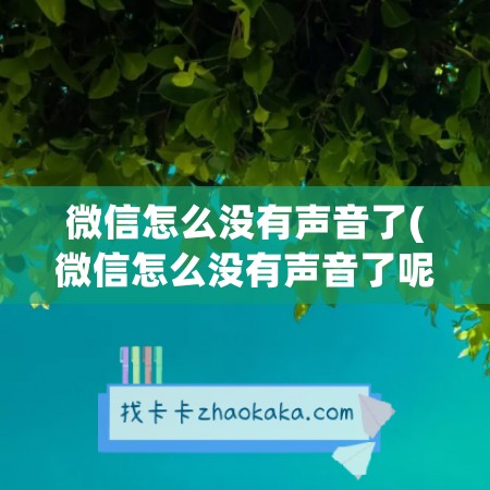 微信怎么没有声音了(微信怎么没有声音了呢怎么恢复)