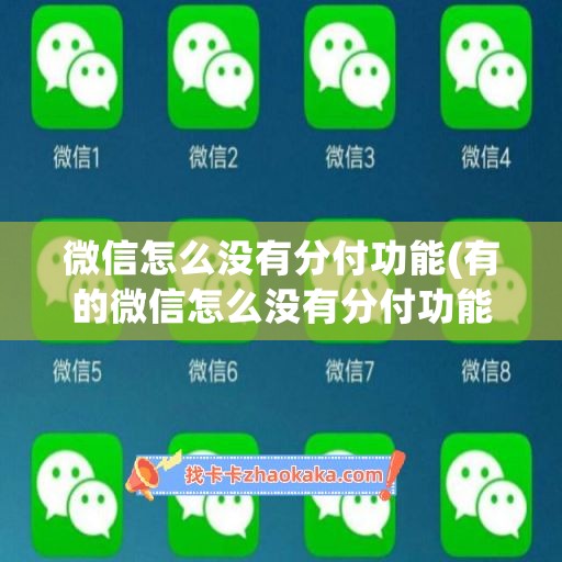 微信怎么没有分付功能(有的微信怎么没有分付功能)