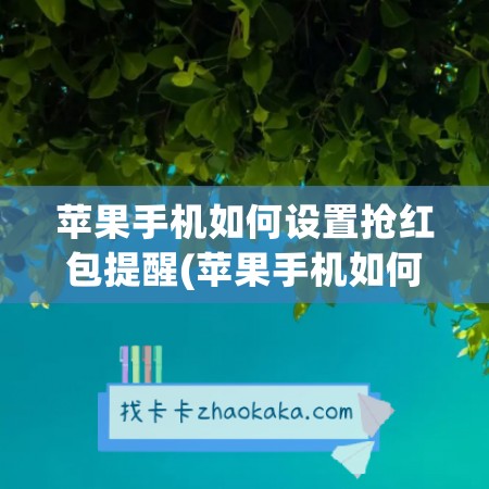 苹果手机如何设置抢红包提醒(苹果手机如何设置自动抢红包功能)