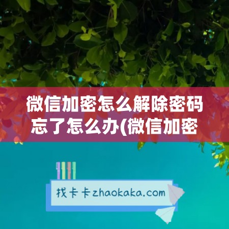 微信加密怎么解除密码忘了怎么办(微信加密了怎么解除密码)