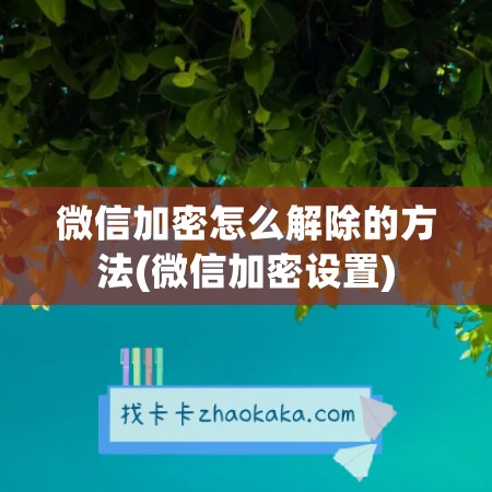 微信加密怎么解除的方法(微信加密设置)