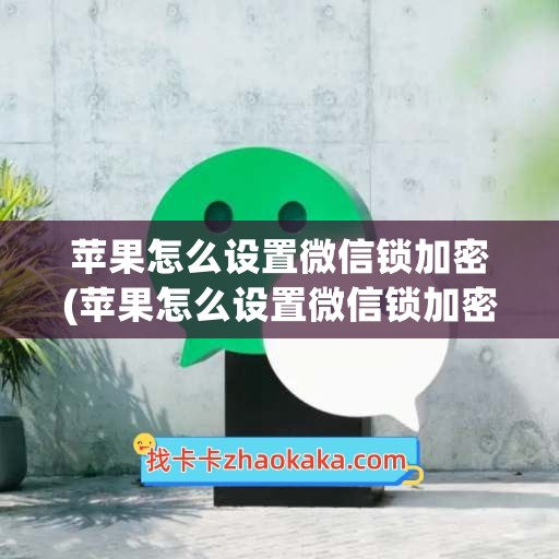 苹果怎么设置微信锁加密(苹果怎么设置微信锁加密主页)