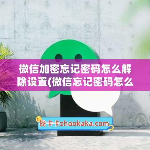 微信加密忘记密码怎么解除设置(微信忘记密码怎么上)