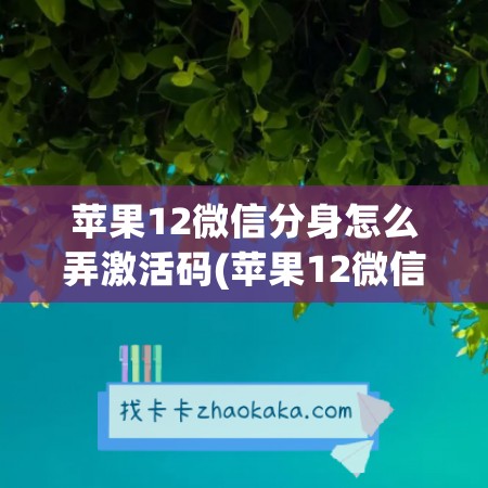 苹果12微信分身怎么弄激活码(苹果12微信怎么分身)