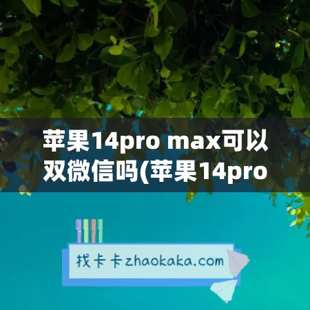 苹果14pro max可以双微信吗(苹果14pro max回收价格)