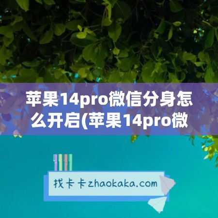 苹果14pro微信分身怎么开启(苹果14pro微信语音来电不弹出来)