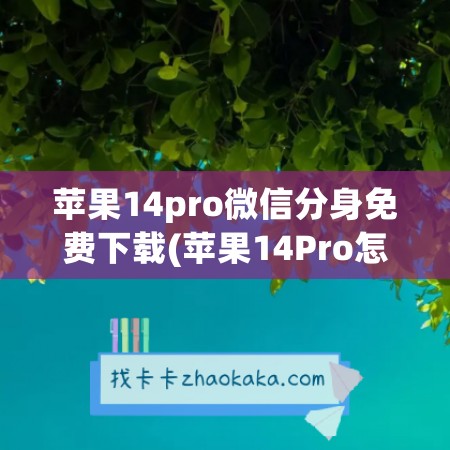 苹果14pro<a href=