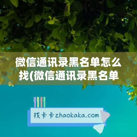 微信通讯录黑名单怎么找(微信通讯录黑名单怎么找不到拉黑的人)