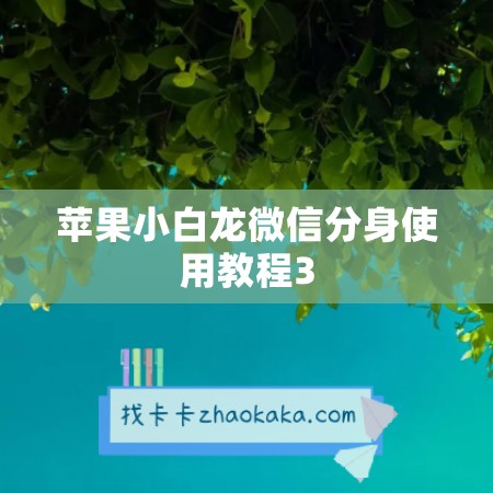 苹果小白龙微信分身使用教程3